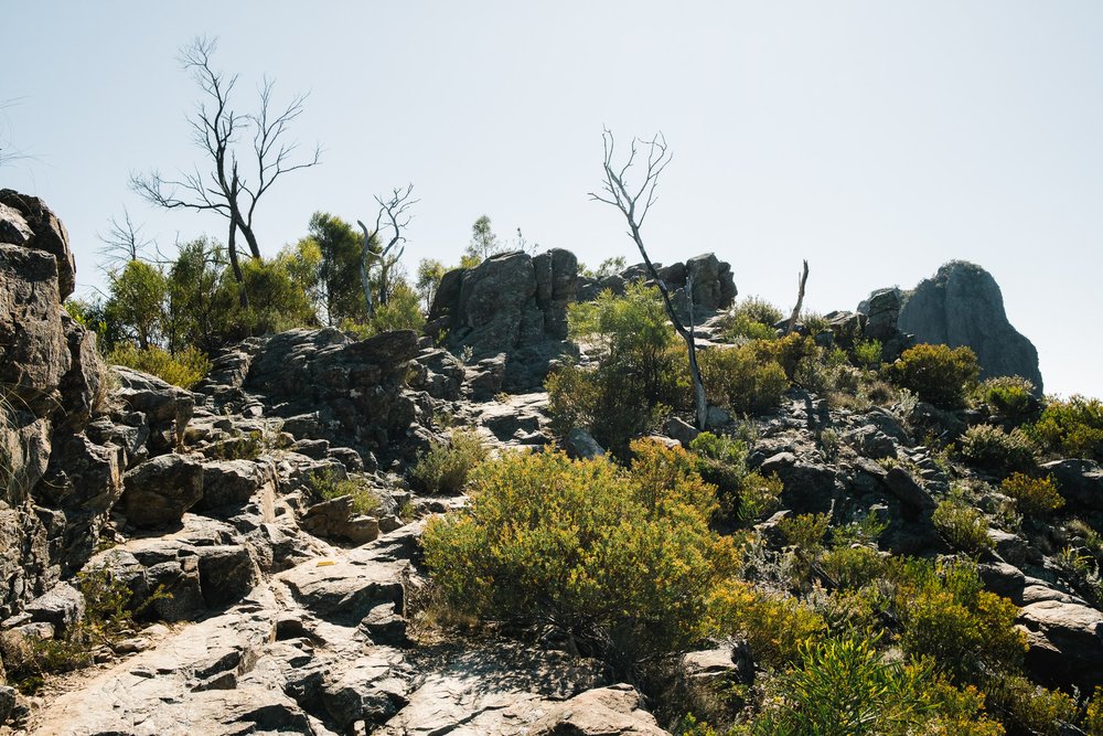 20230919 - Warrumbungle Camping Trip - 092902-Nick-Bedford,-Photographer-Astrophotography, Australia, Fujifilm 23mm F2, Fujifilm X-Pro3, Hiking, Landscape Photography, New South Wales.jpg