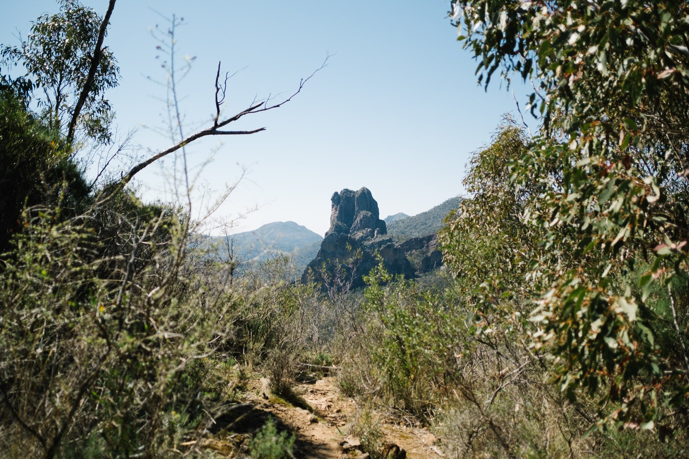 20230919 - Warrumbungle Camping Trip - 103331-Nick-Bedford,-Photographer-Astrophotography, Australia, Fujifilm 23mm F2, Fujifilm X-Pro3, Hiking, Landscape Photography, New South Wales.jpg