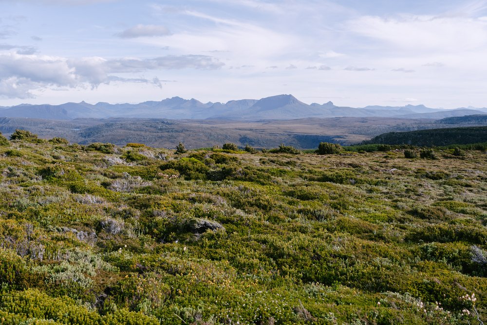 Mount Ossa &amp; Mount Pelion 