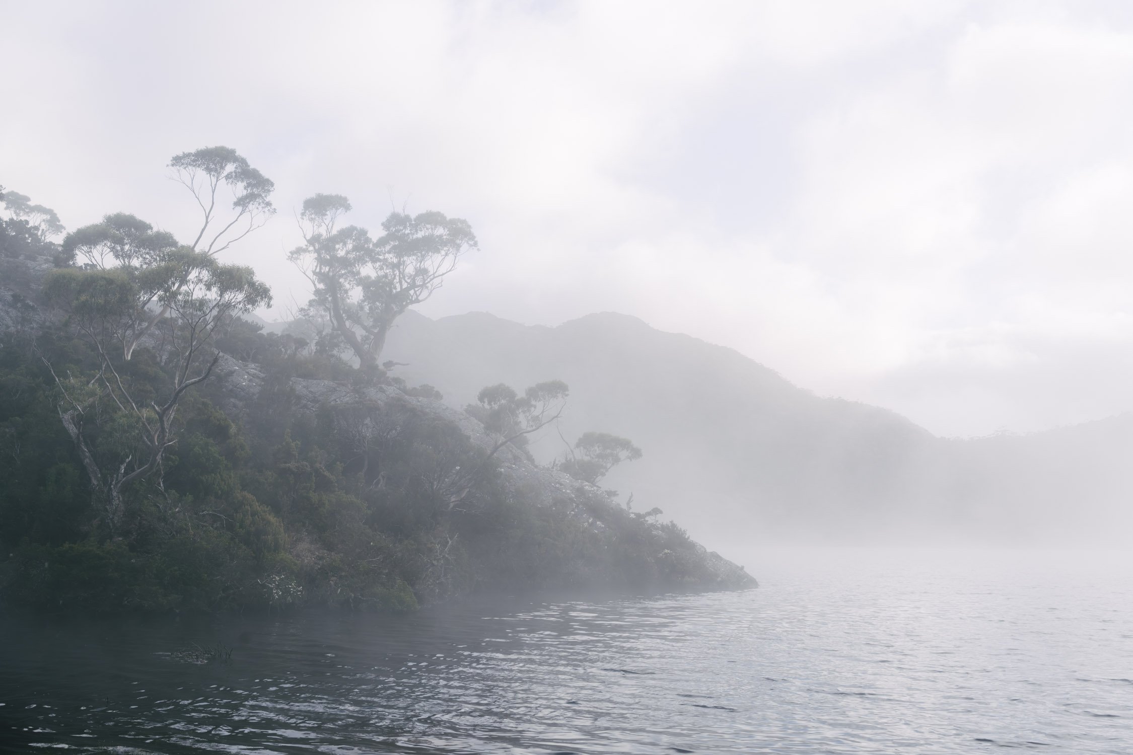 Fog on the lake