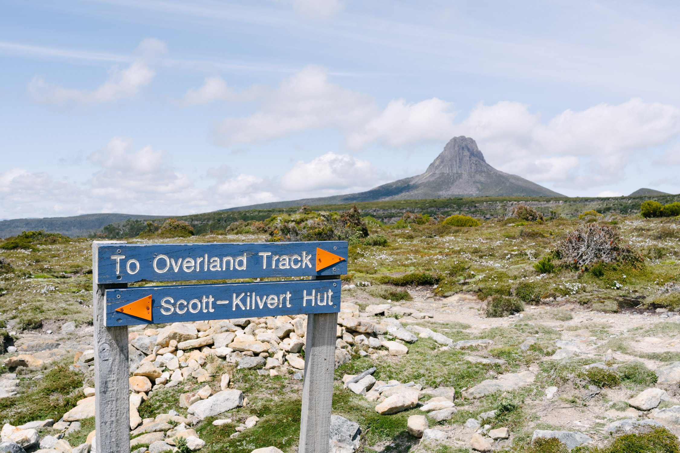 Scott-Kilvert / Overland Track Junction