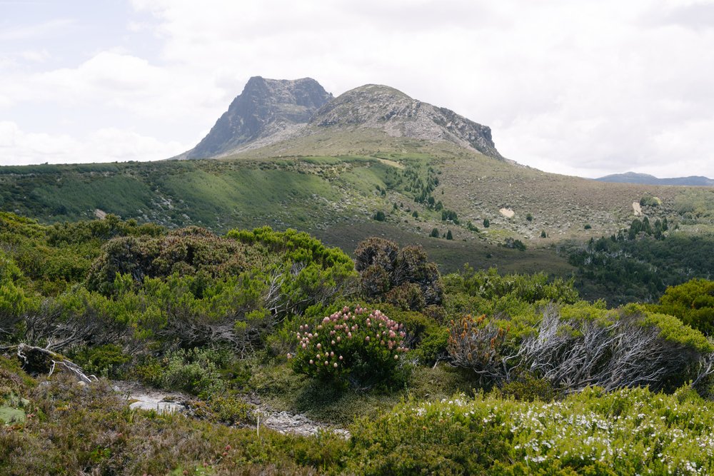 Benson Peak &amp; Cradle Mountain