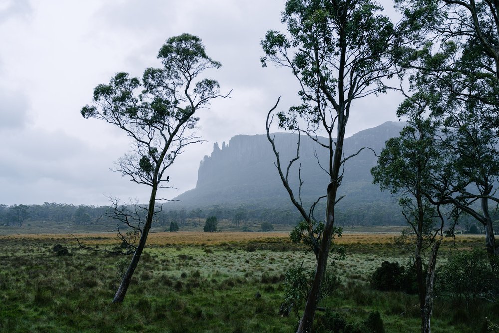 Mount Oakleigh from New Pelion Hut