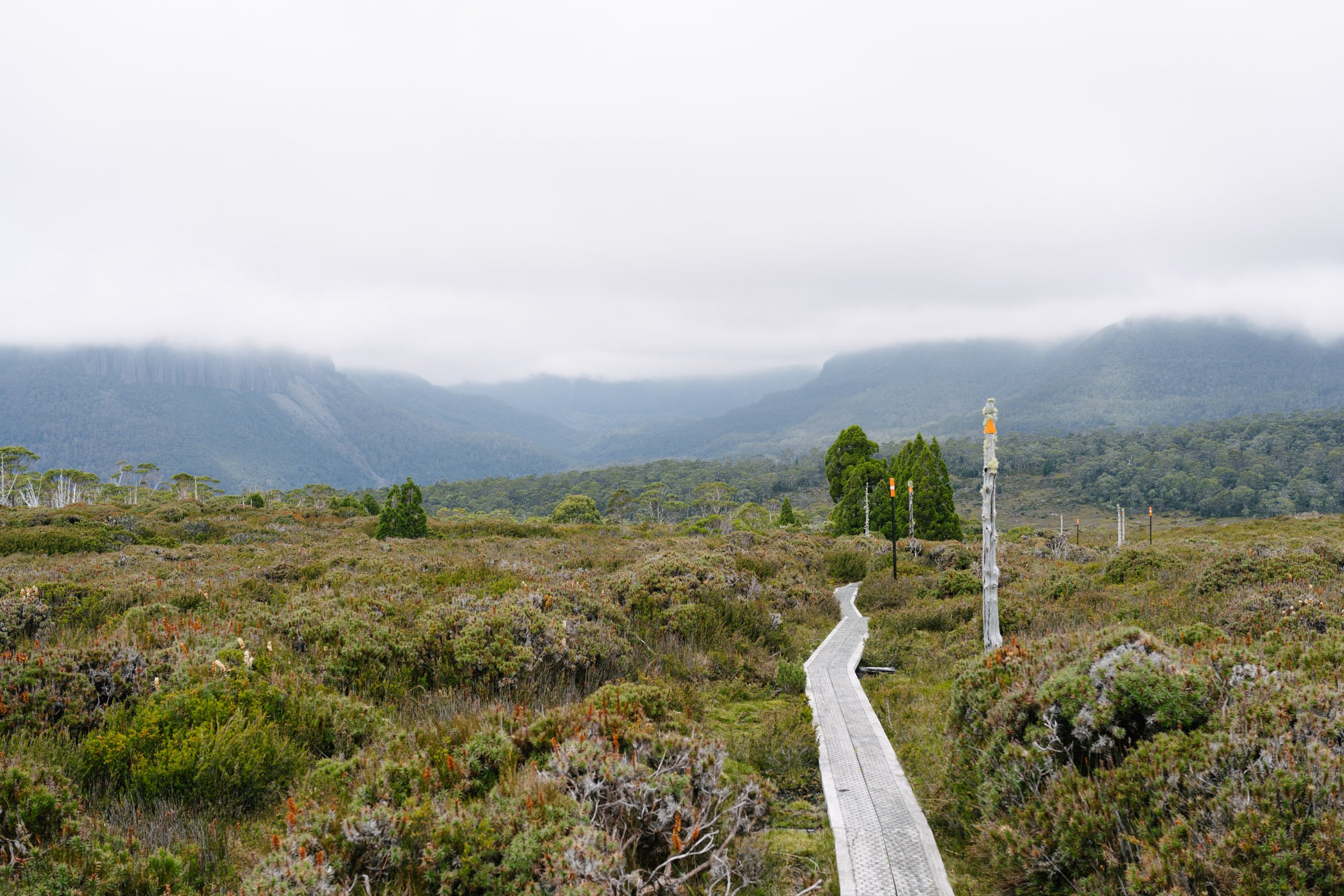 Back on the track to Kia Ora hut