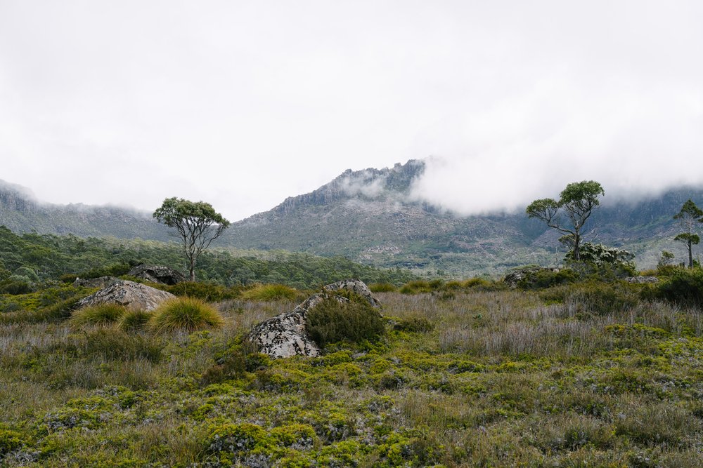 Trying to see Mount Ossa's peak