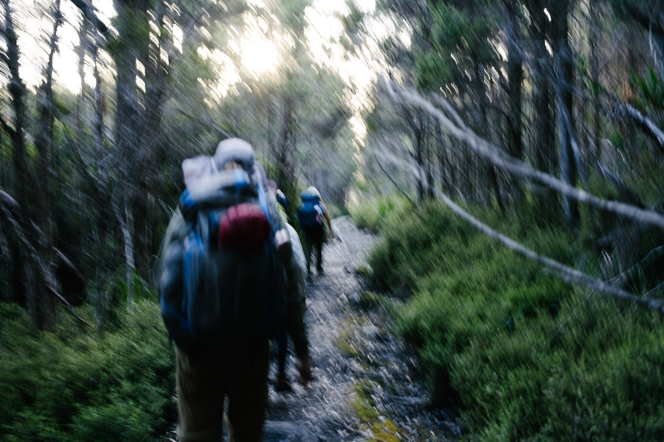 Hiking with the crew