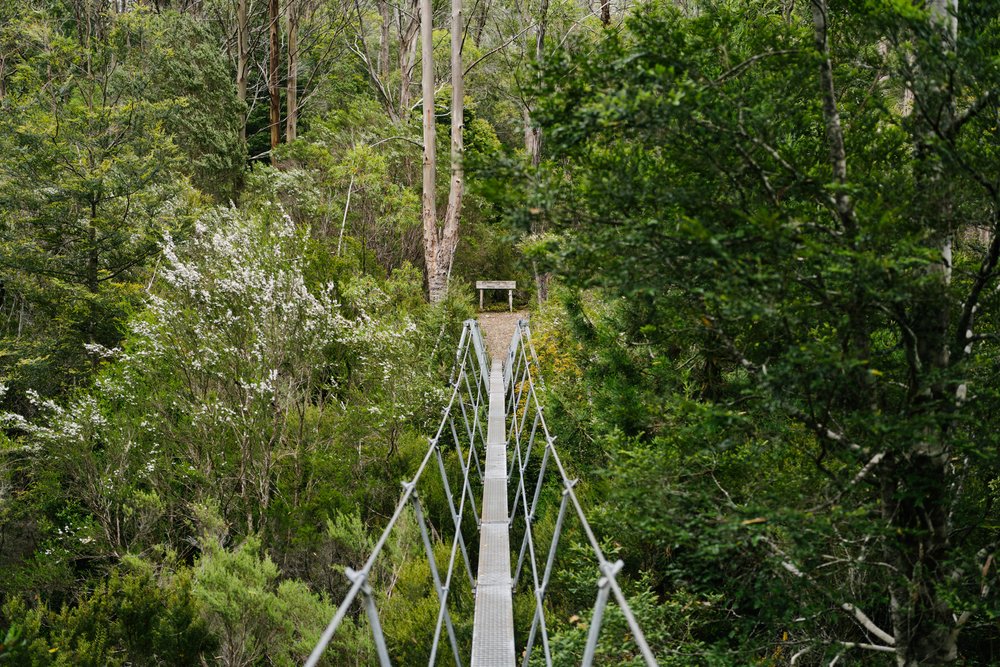 Suspension bridge near Pine Valley
