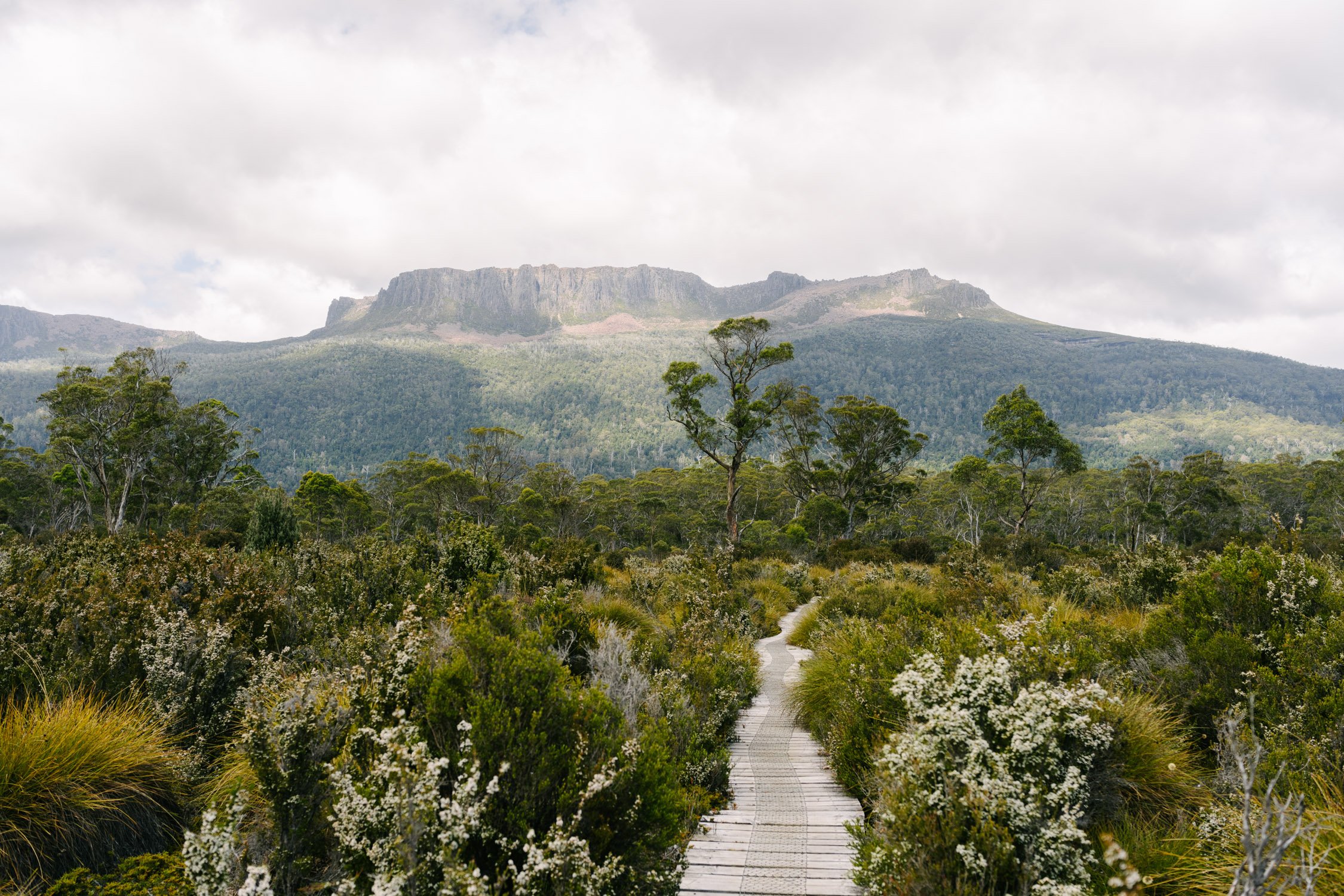 Mount Olympus