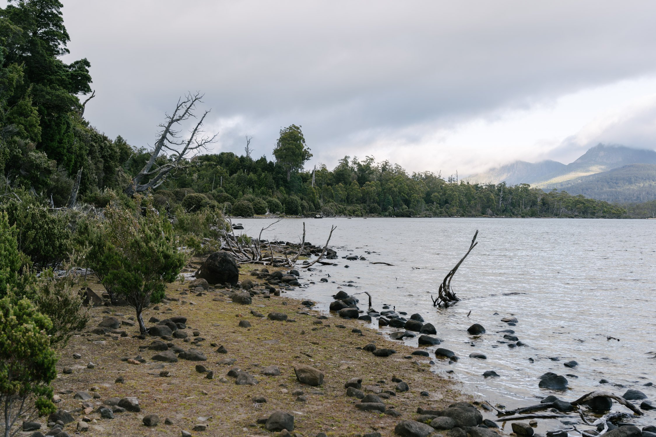 Shore of Lake St Clair