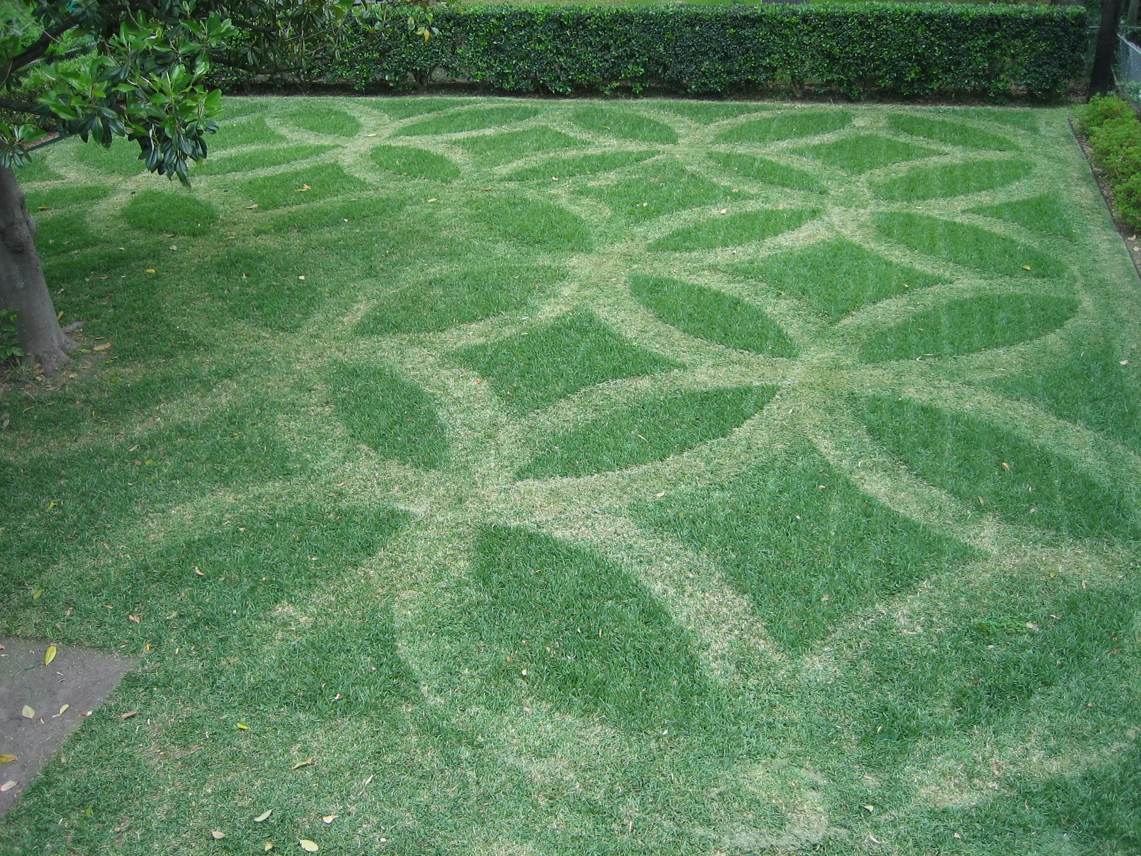 Interlocking Circles.JPG