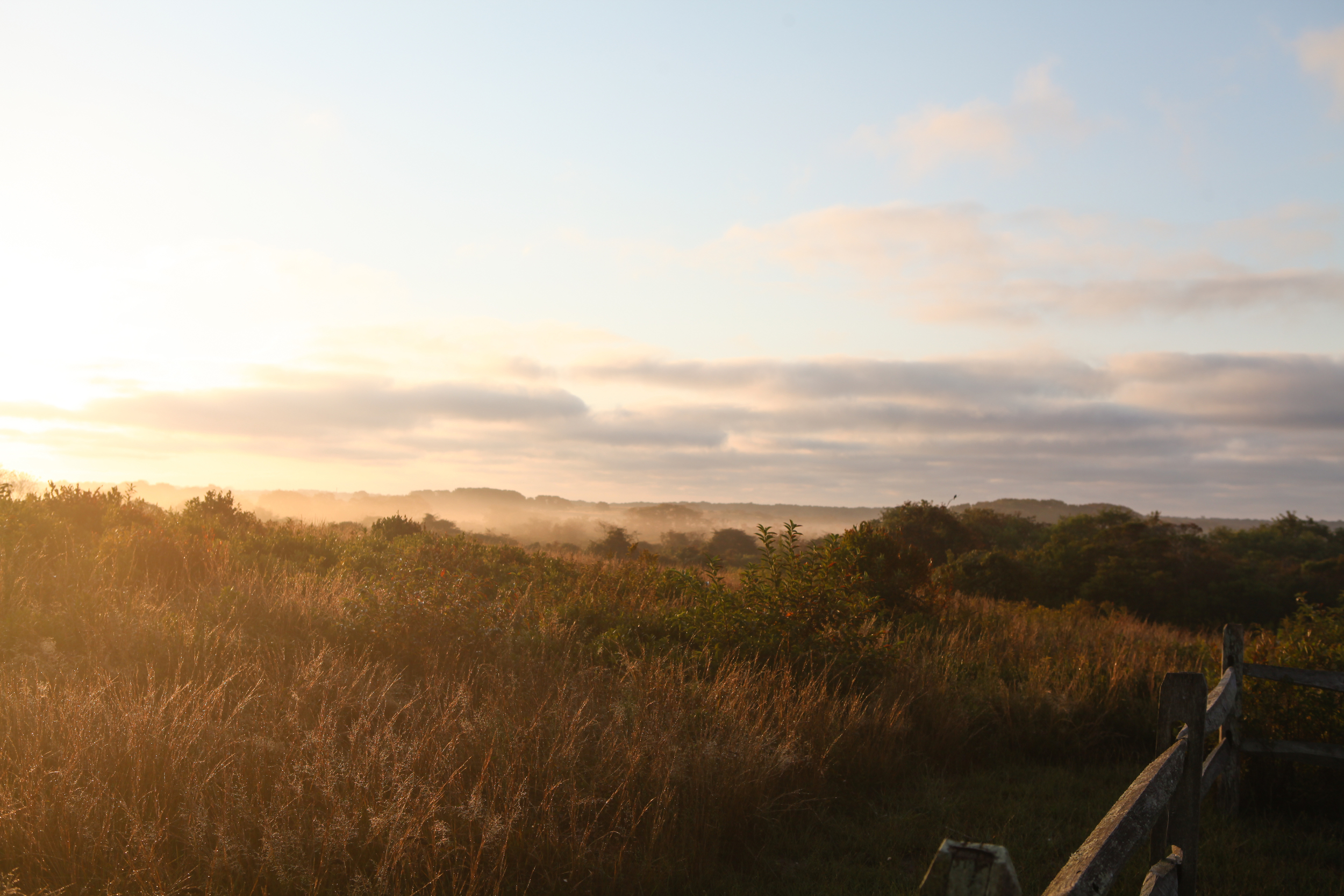 Nantucket 2011-395.jpg