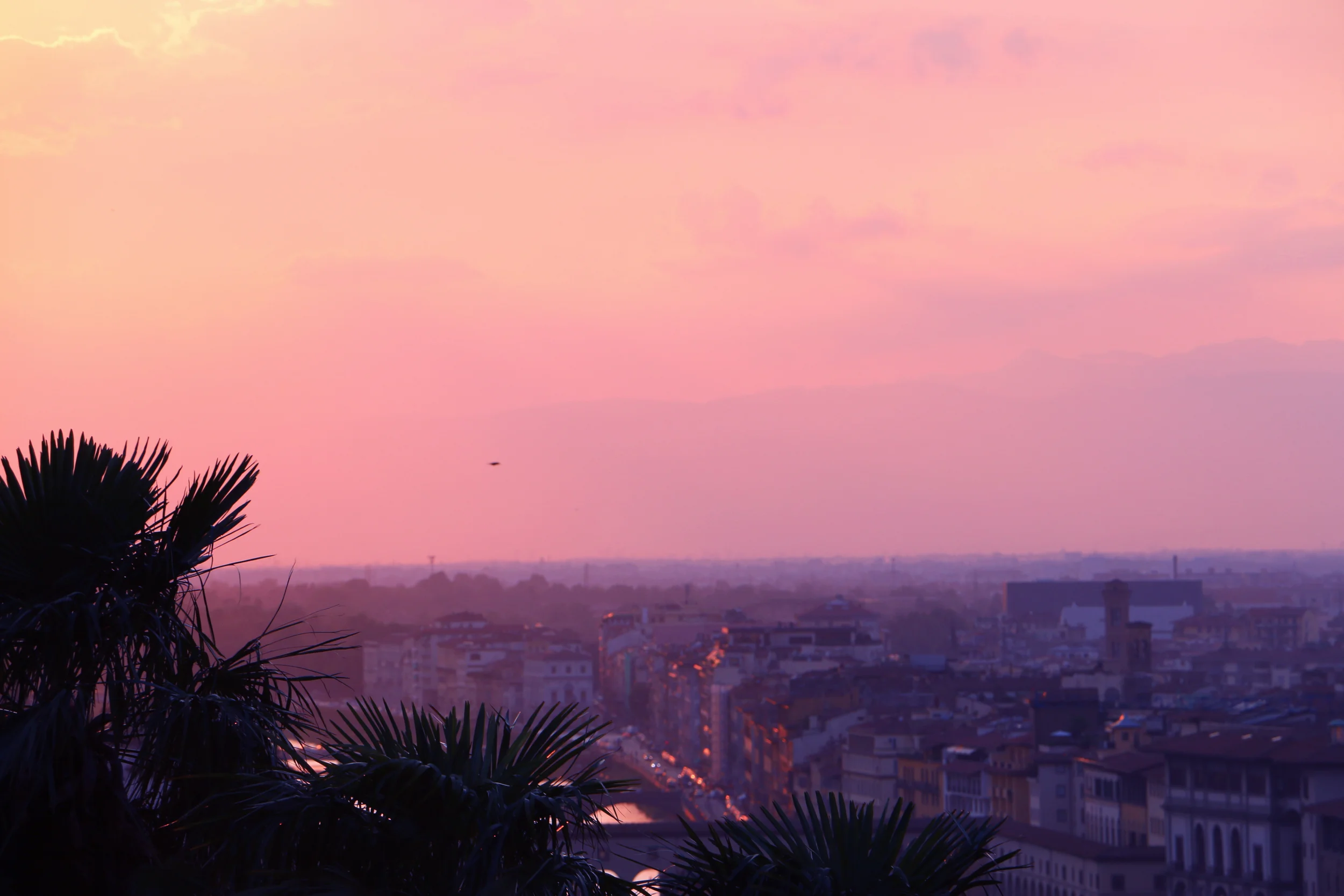sunset.jpg