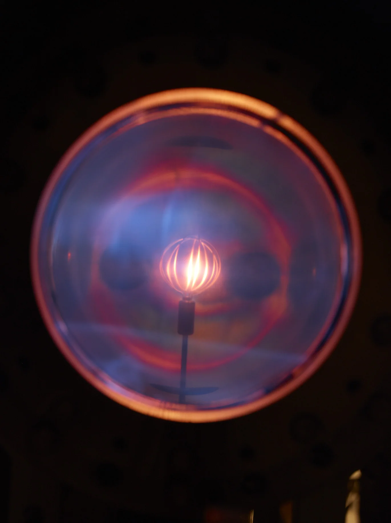12062010_GQ_Wilson-Lab_0995.jpg