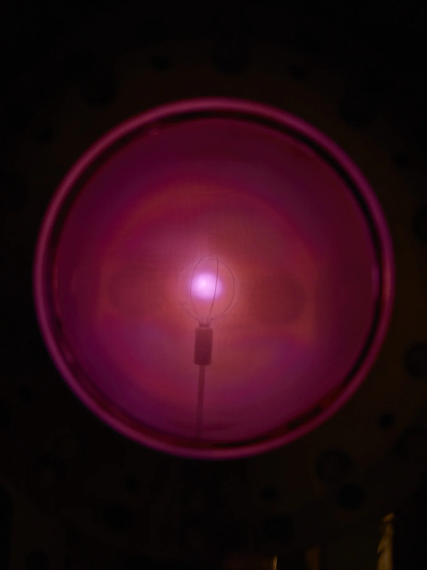 12062010_GQ_Wilson-Lab_0984.jpg