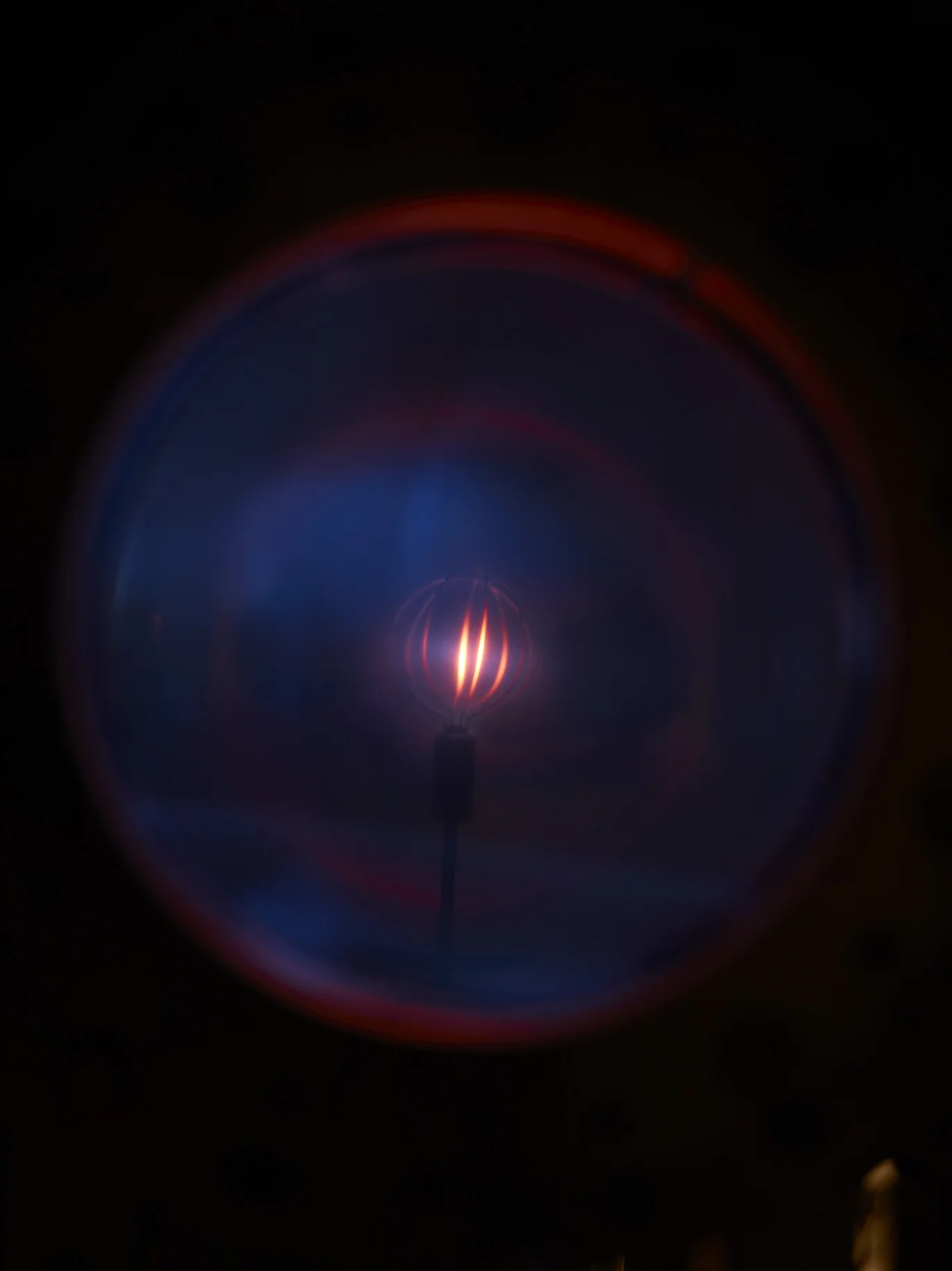 12062010_GQ_Wilson-Lab_0971.jpg