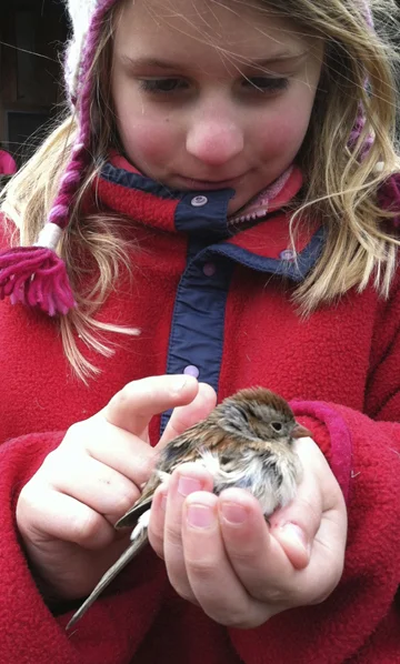 Lawrence Feir uses body casts in the creation of welded sculpture. Numerous forms hang in his studio. They are used to hold small pieces of scrap steel that he MIG welds together. Some of his more popular pieces are comprised of silverware.