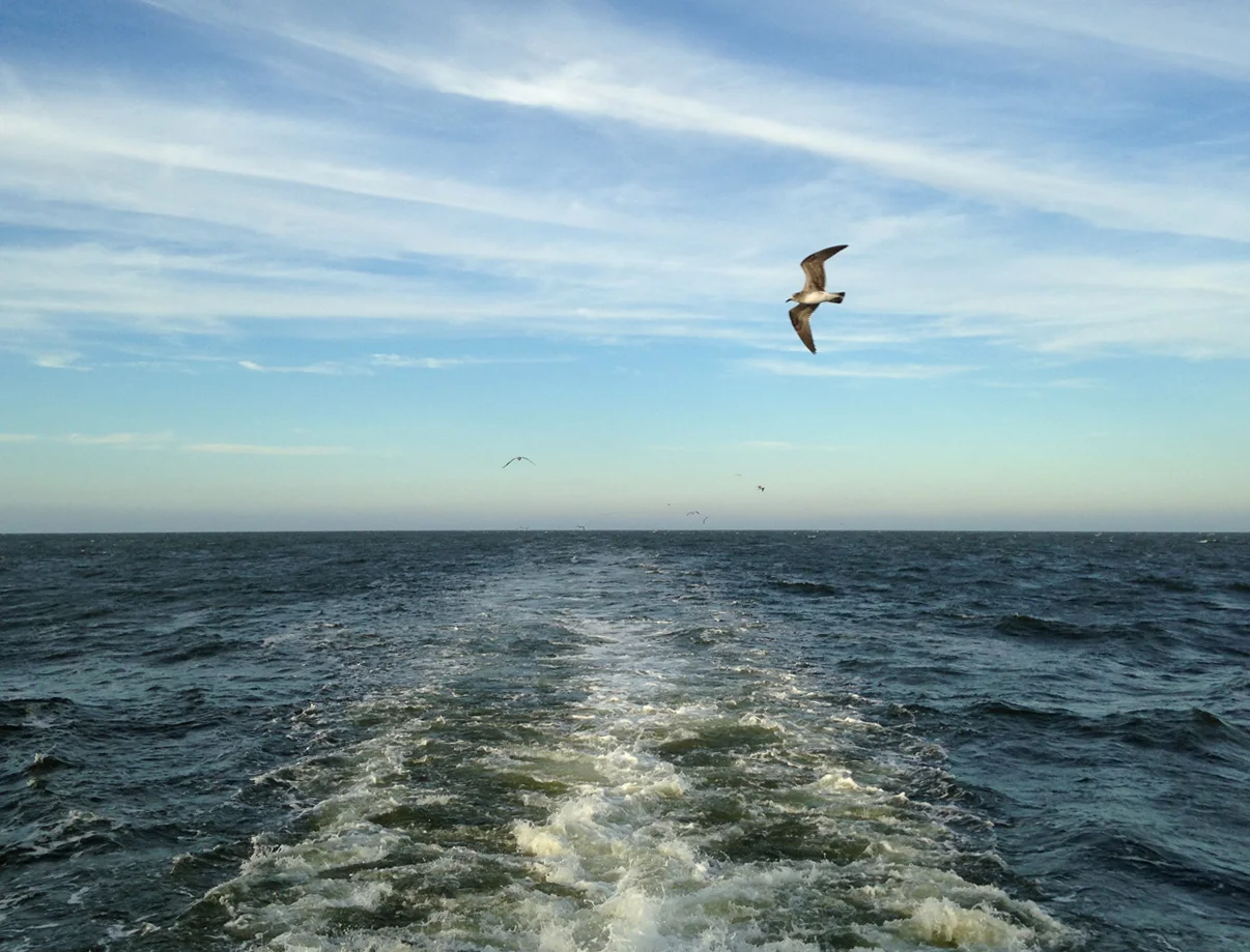 Coming home from the Outer Banks.