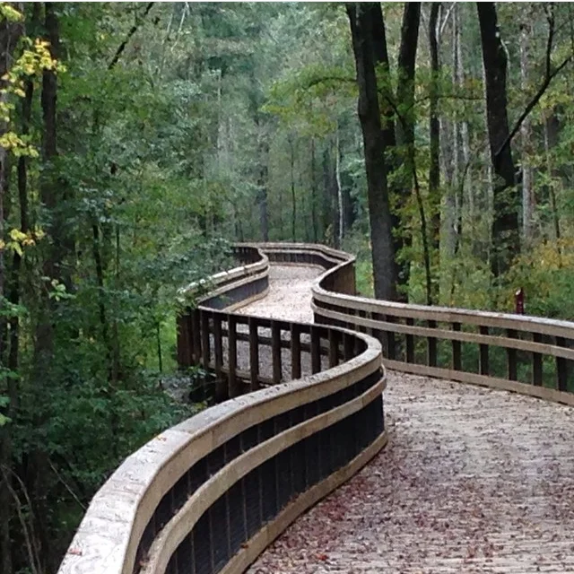 A stretch of the Walnut Creek leg of the Raleigh greenway.