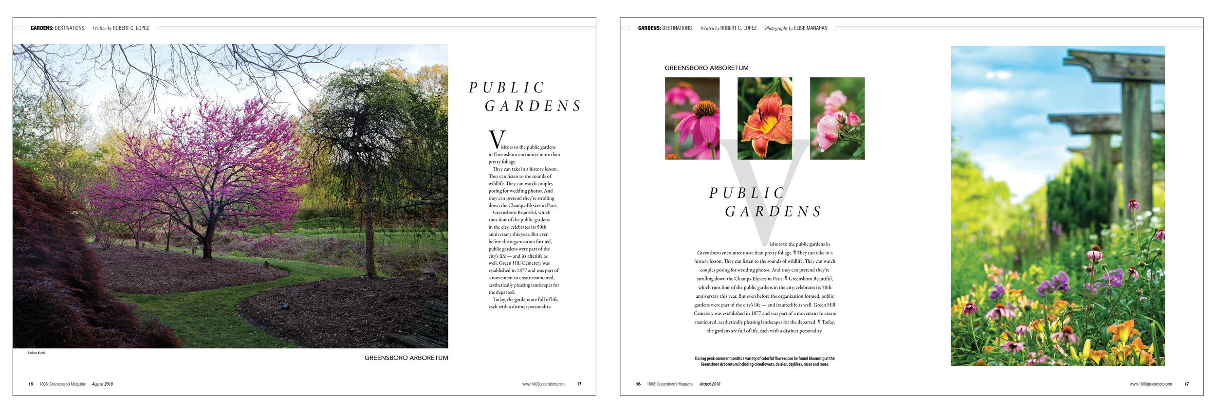 Two versions of the opener for the main public gardens story were on the table. There are five such spaces in Greensboro, each with its own personality. I started with the version on the left. The quietness and muted palette has a Japanese, zen, ref…