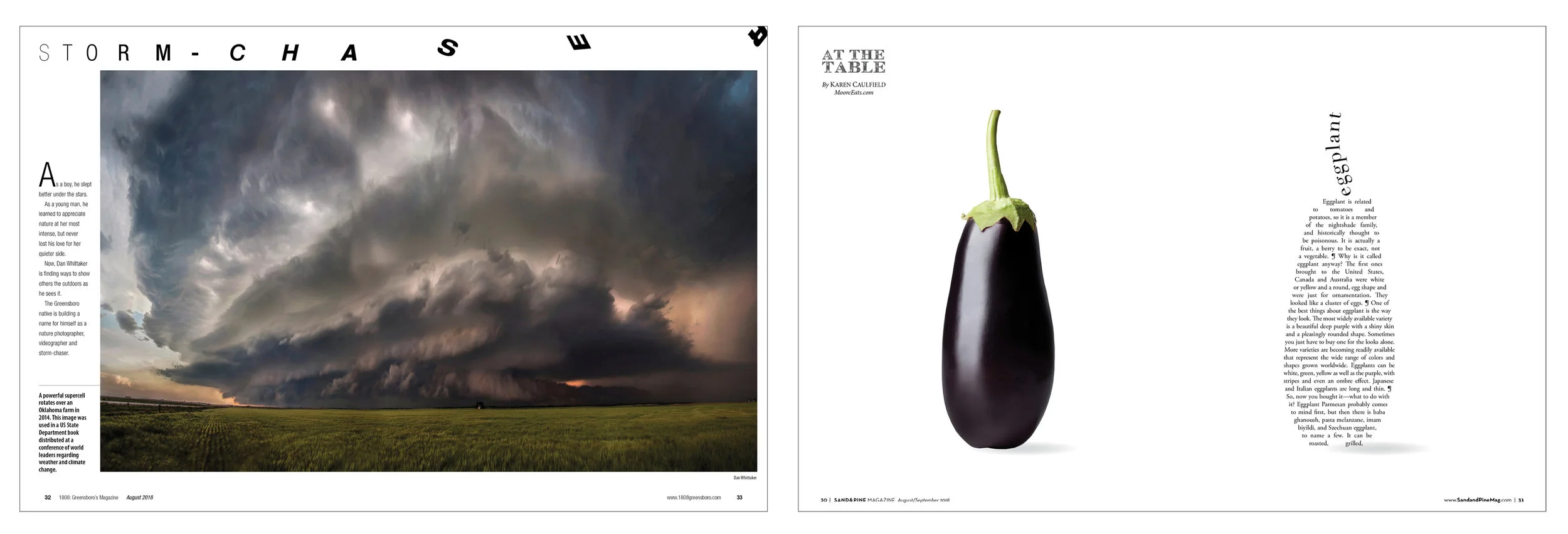 The opening spread from a piece on a local man who makes a living off of bad weather. This particular image was used in a book distributed at a government-led climate change conference. Sand and Pine Magazine has a monthly food feature. They asked m…