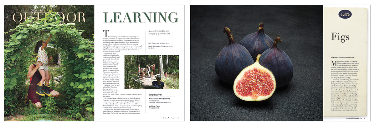 Opportunities to educate children in outdoor settings were examined in Sand &amp; Pine. Two environmentally-based schools allow kids to immerse themselves in all things nature. The issue’s food piece was on figs; I found an AdobeStock image that had…