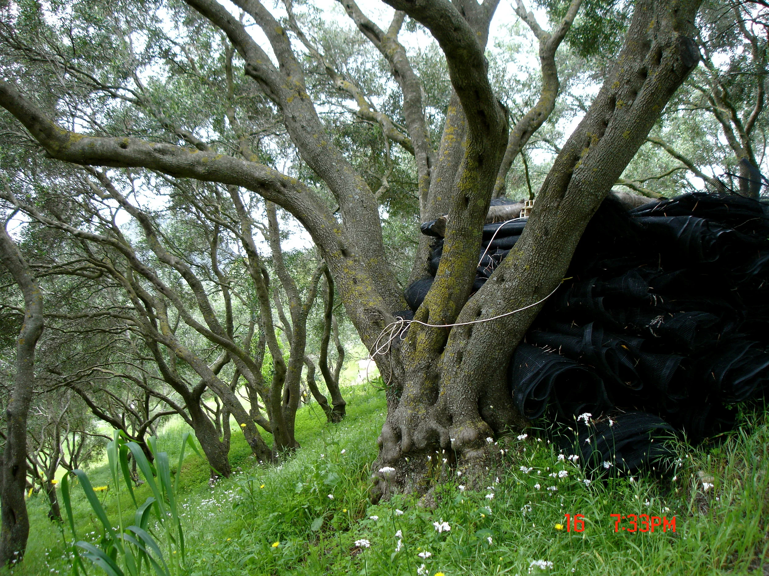 DSC00240