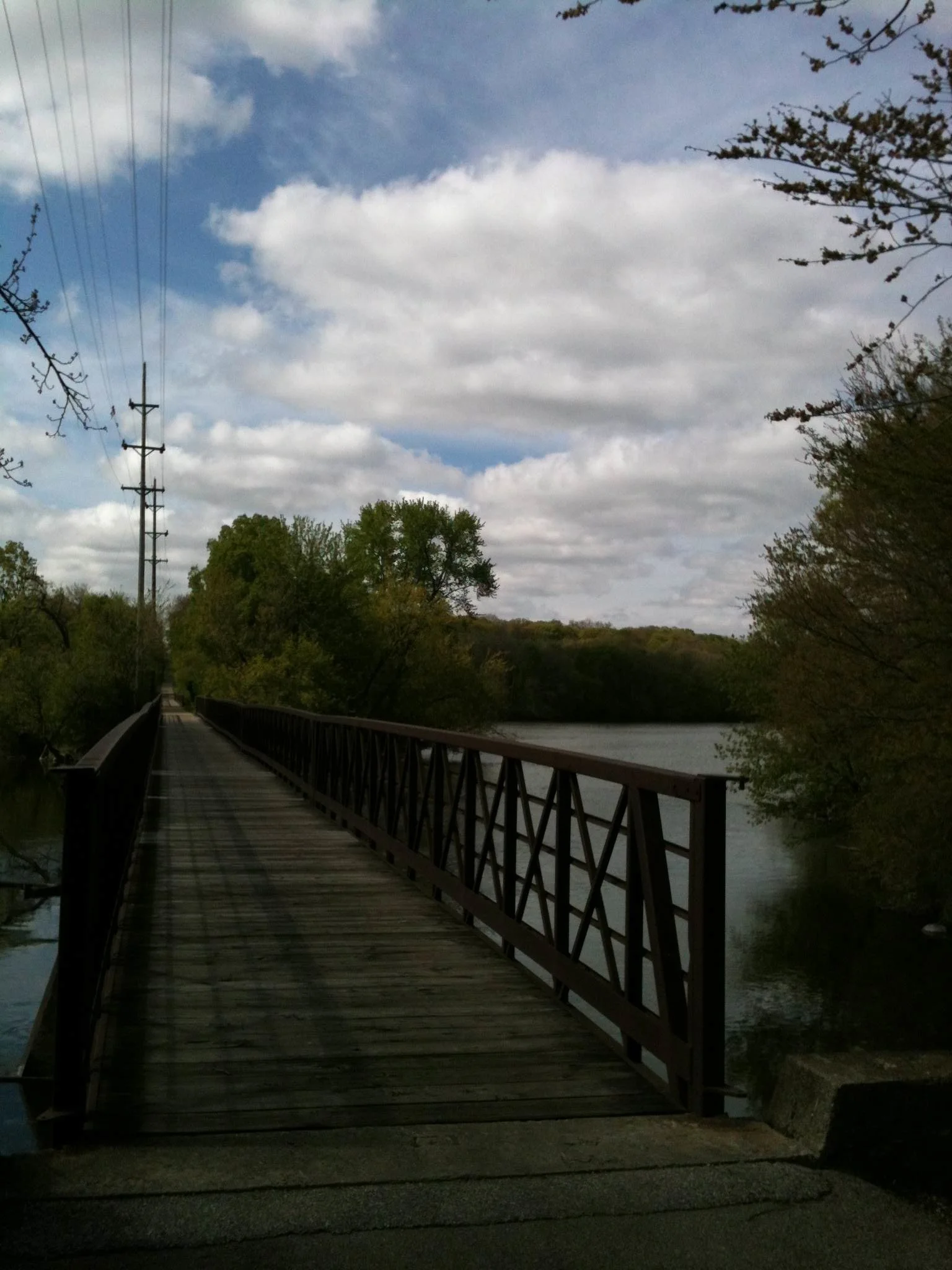photo (6)