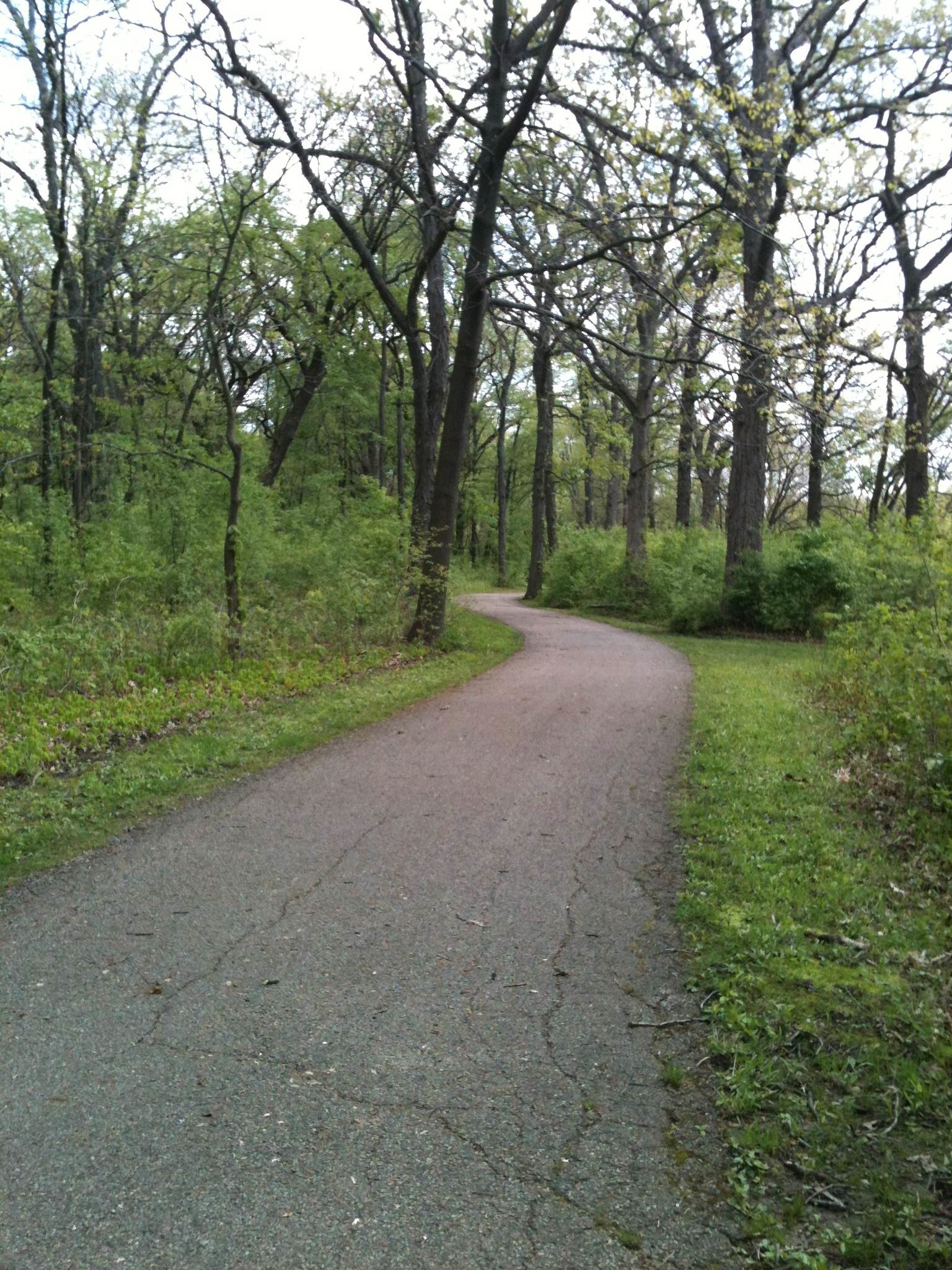 Running - Wk 3 (2)