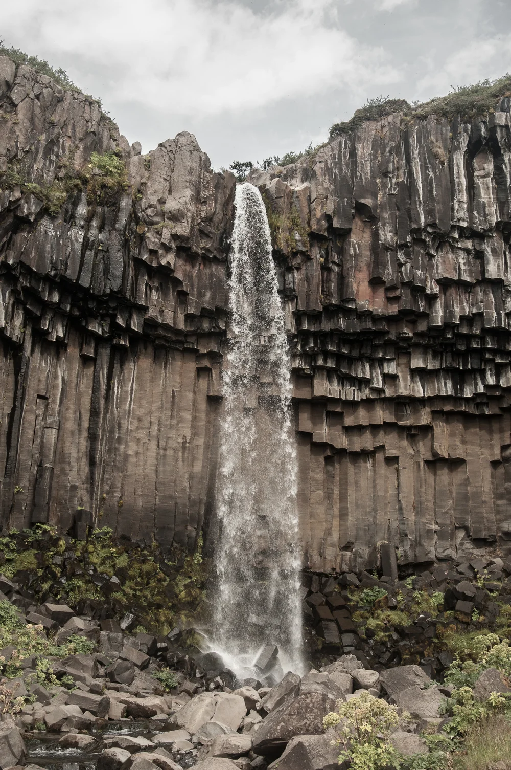 DSC_5635.jpg