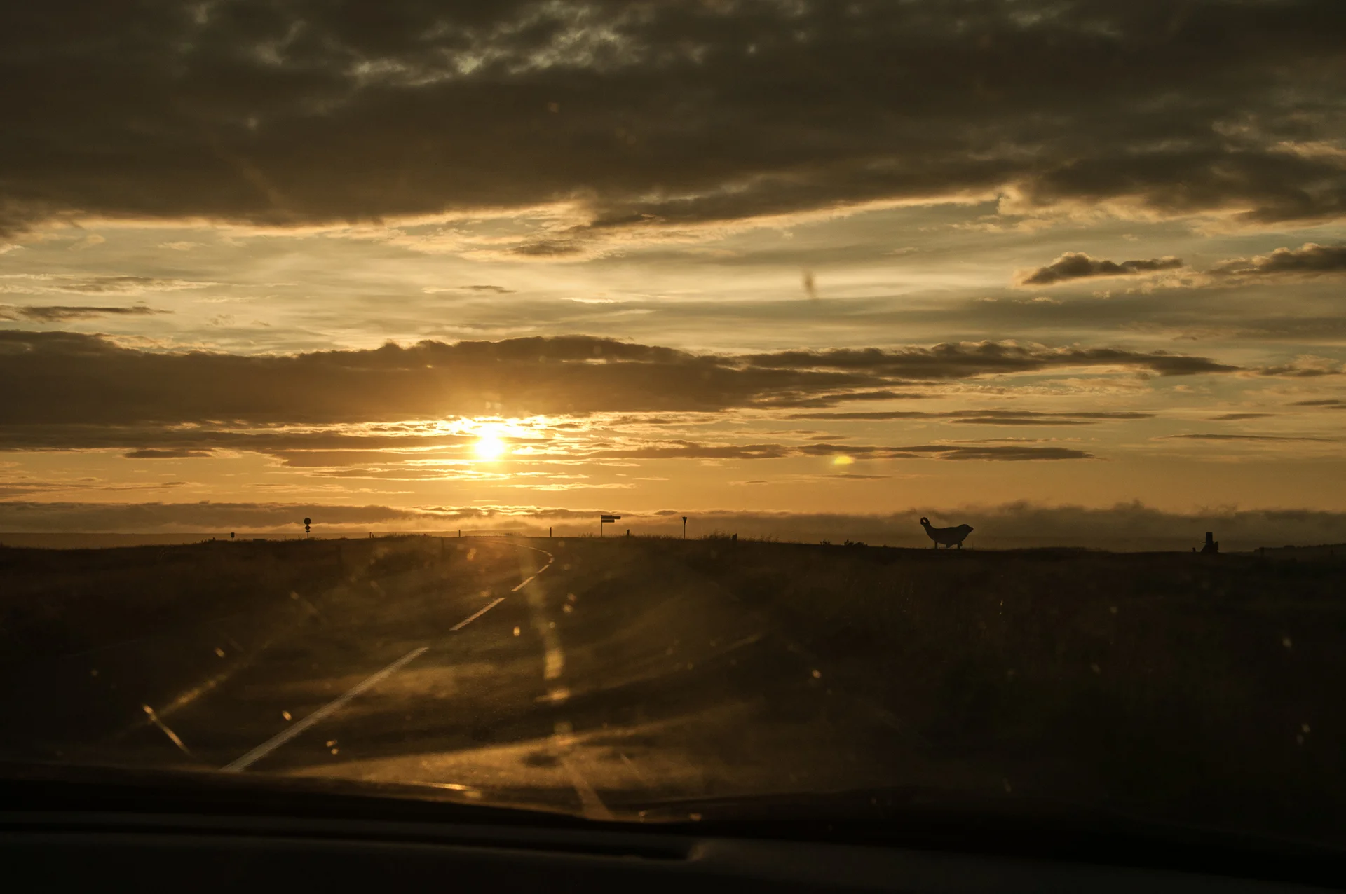 DSC_5926.jpg