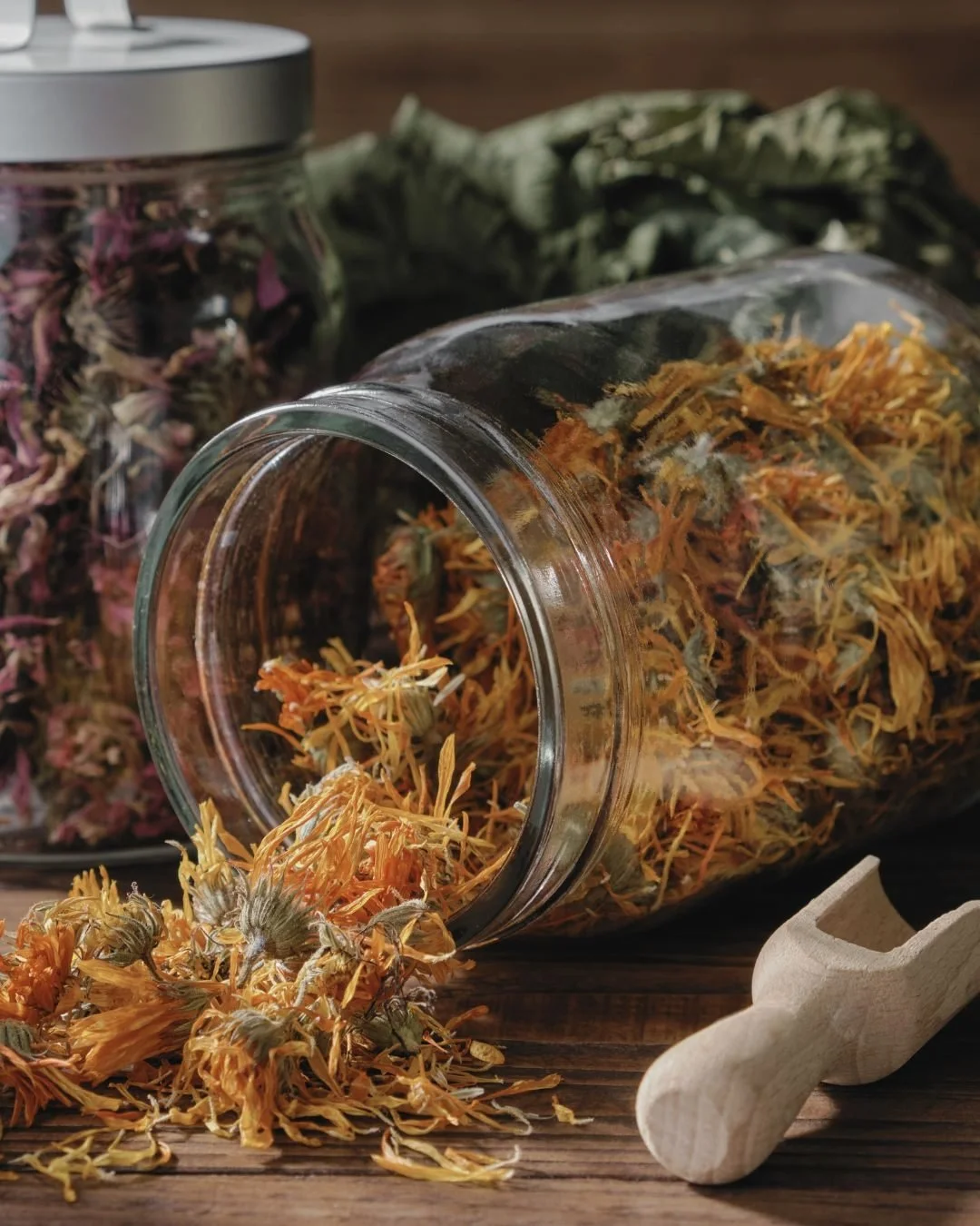 Our top herb for postpartum healing is calendula.

Calendula is soothing, anti-inflammatory, and gentle on sensitive skin, making it perfect for perineal care, minor cuts, or dry, irritated areas after birth. Many of our doulas incorporate it into si