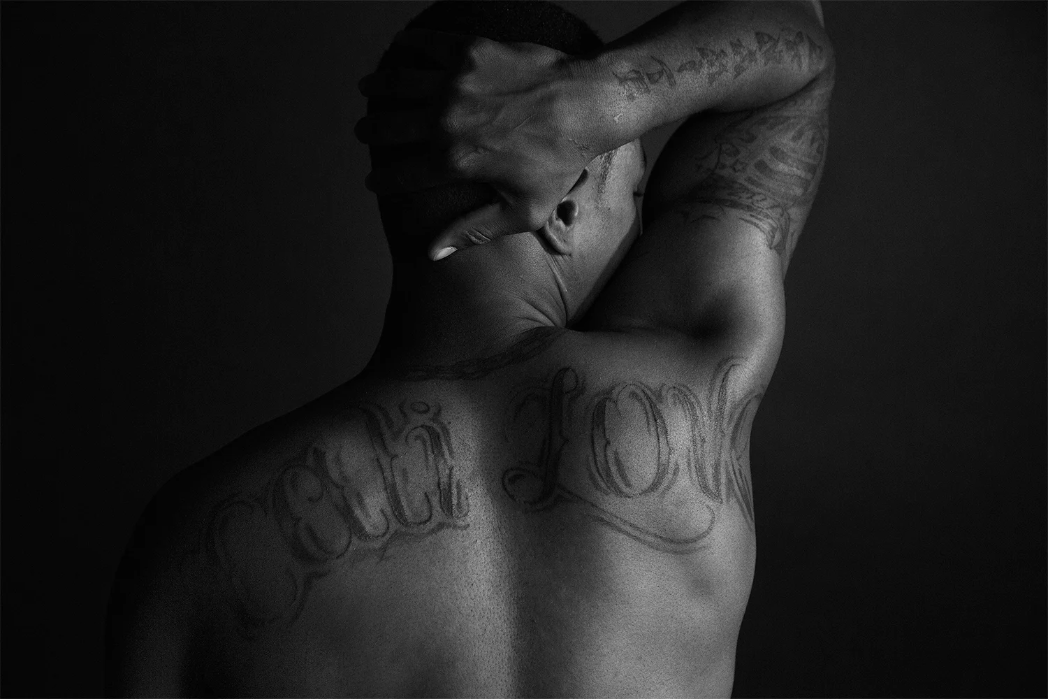 Shapes-back02.jpg