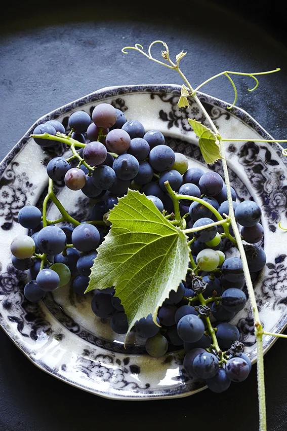 We have a small vineyard of these grapes upstate. I'm always looking for ways to use them besides making grape jelly- here's an earthy and easy alternative.