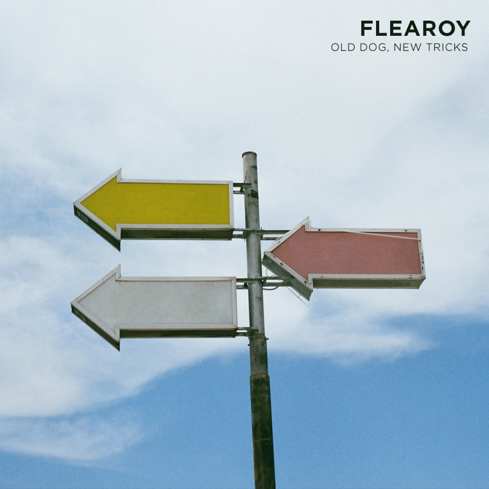 FLEAROY Covers Album Cover for digital.jpeg