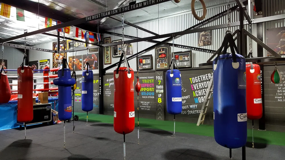 the-concept-gym-interior-hand-painted-walls-posters-and-canvases.jpg