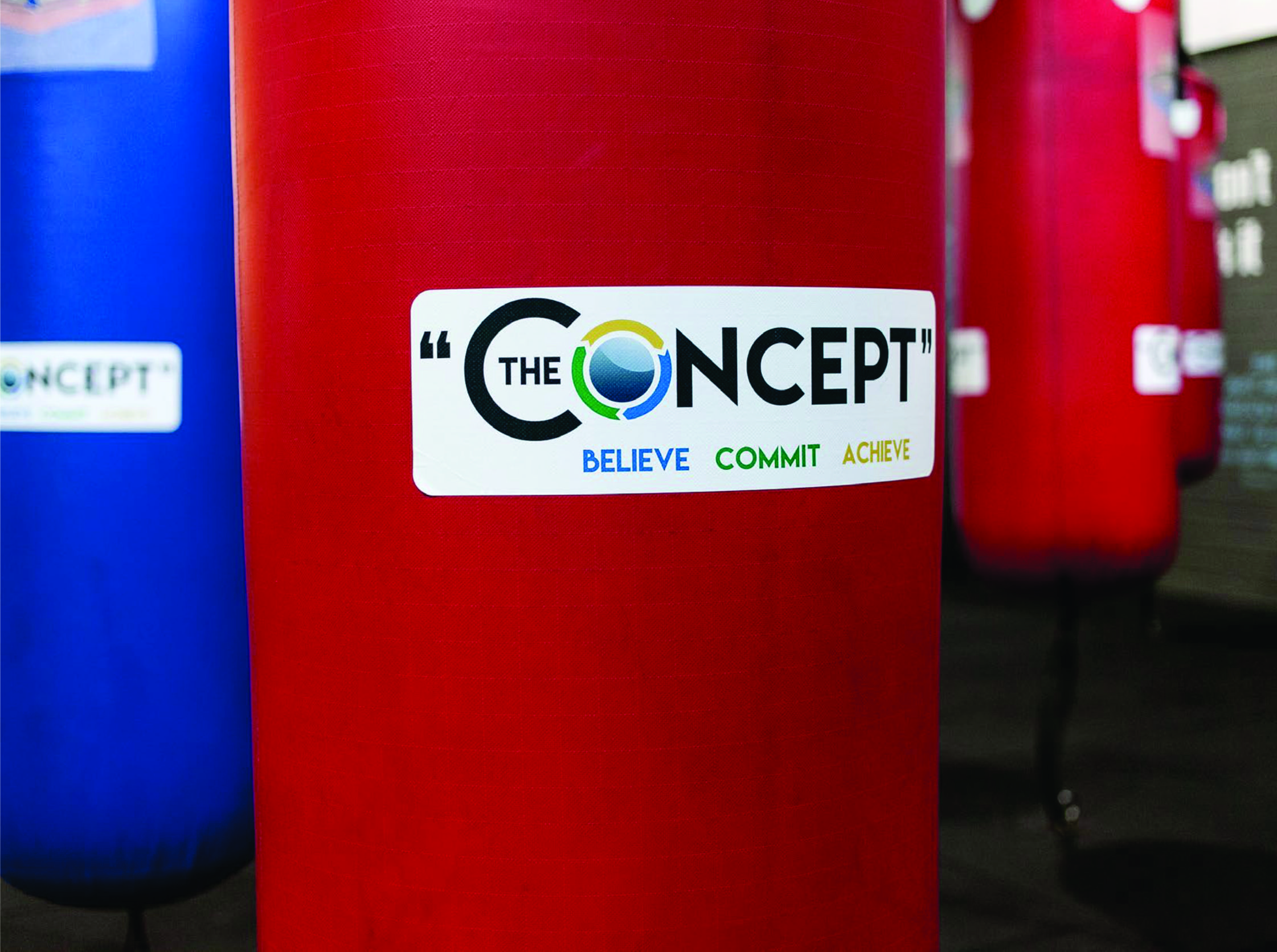 the concept boxing bag decal.jpg