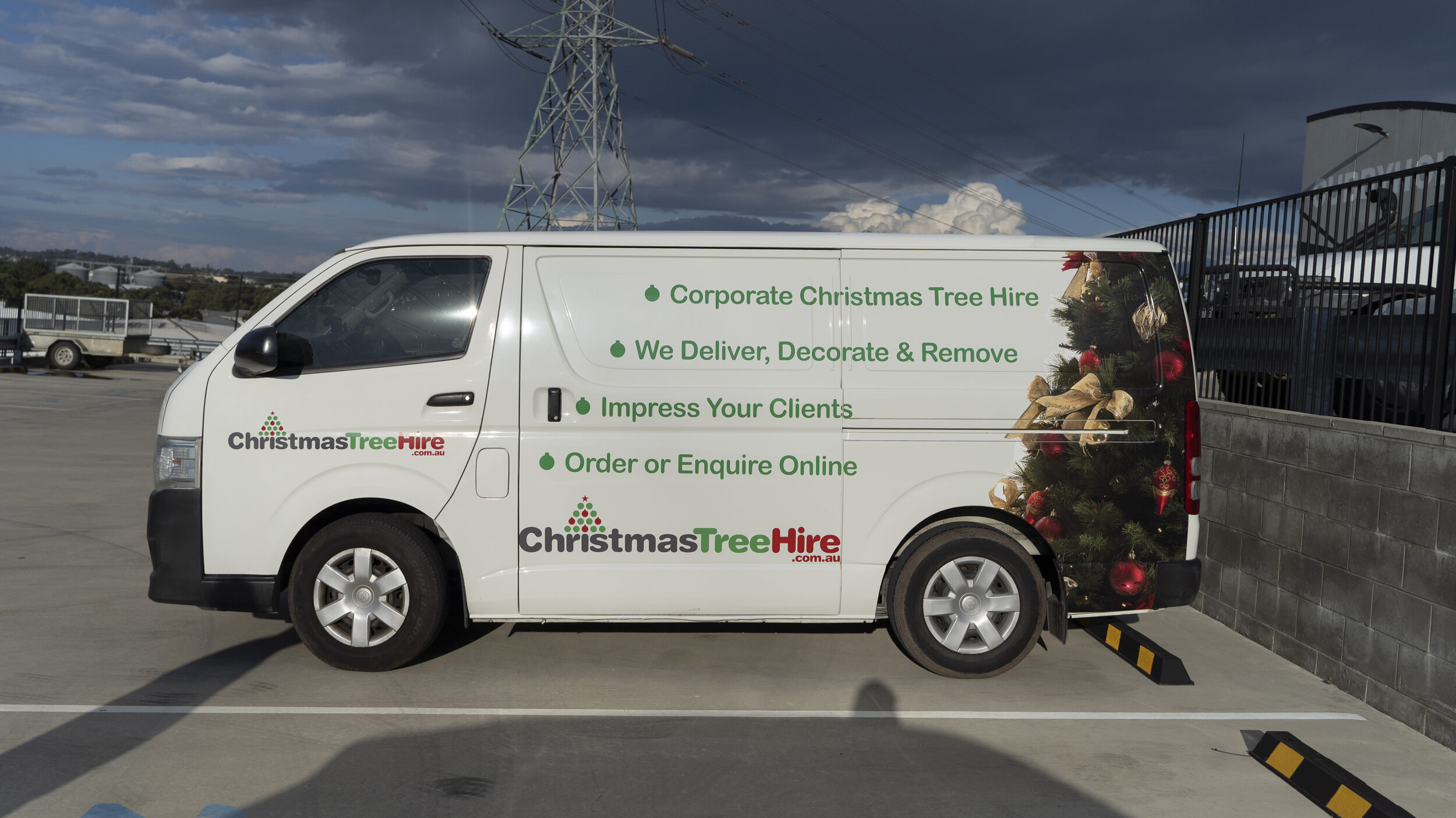 christmas tree hire 