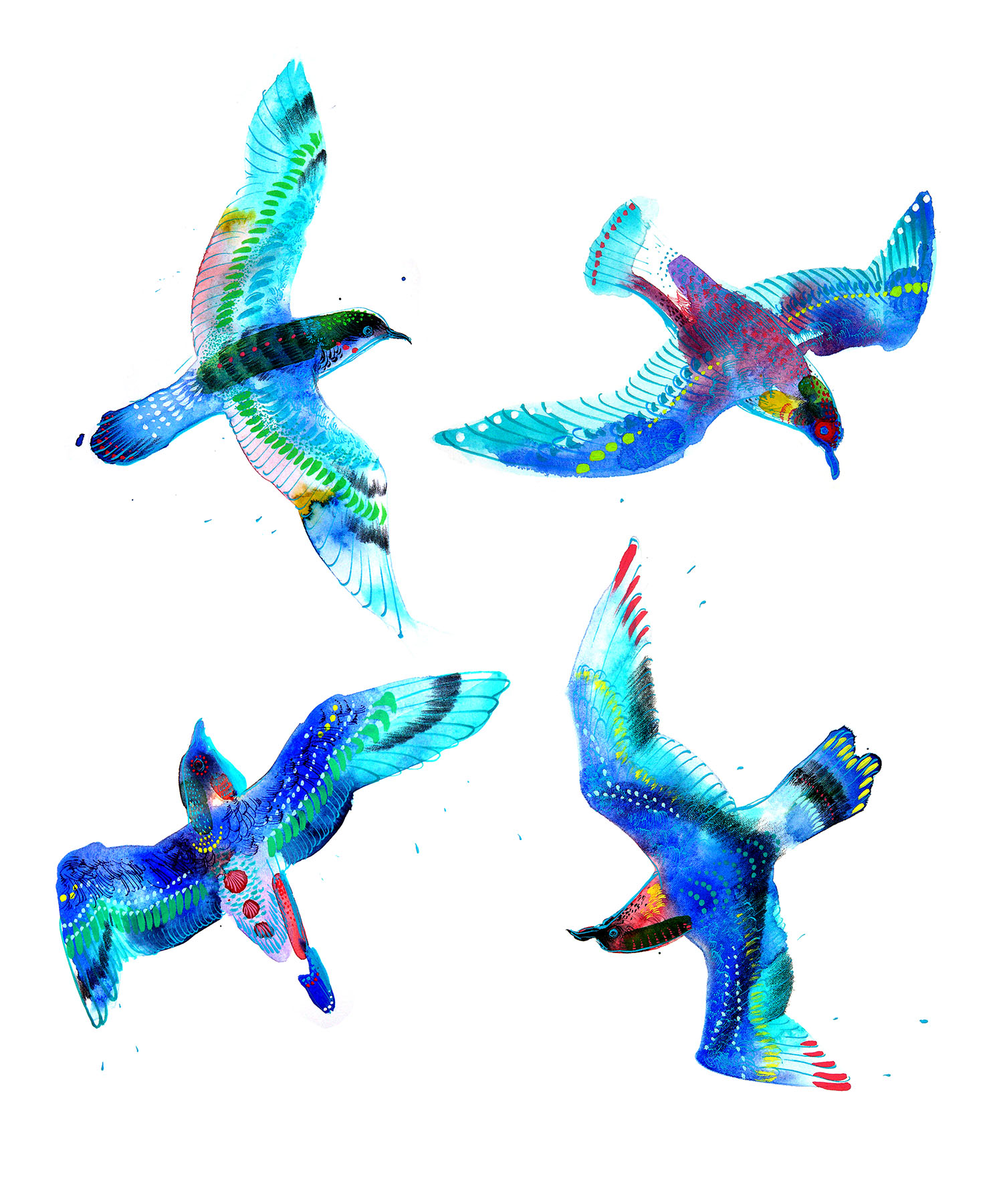 Blue Birds   -Personal Project