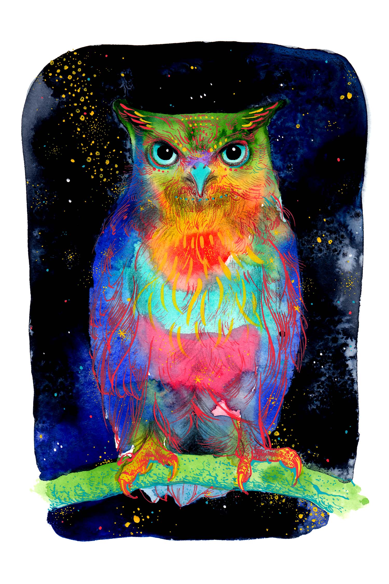 owl-web.jpg