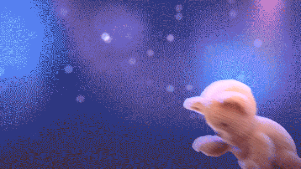 BrowserPreview_tmp (2).gif