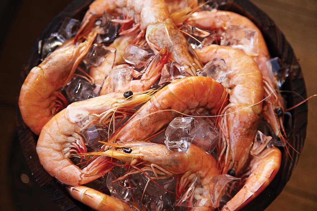 Shrimps in a bucket.jpg