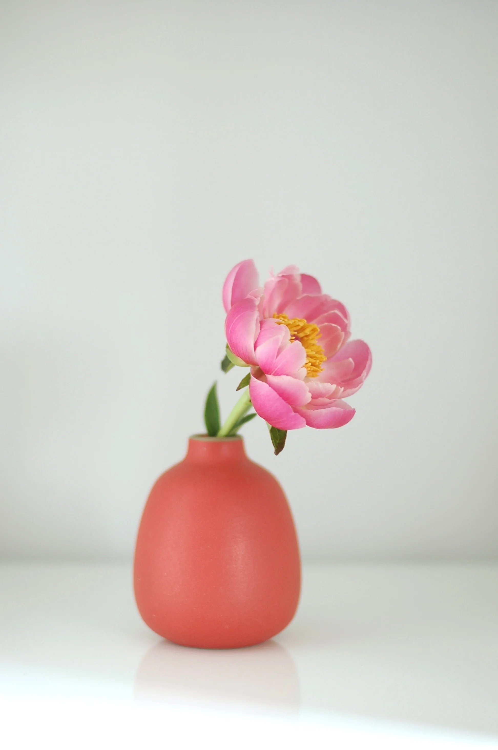 25 Peony Portrait