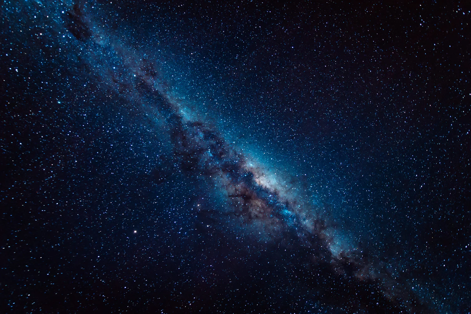 _SBT4790.jpg