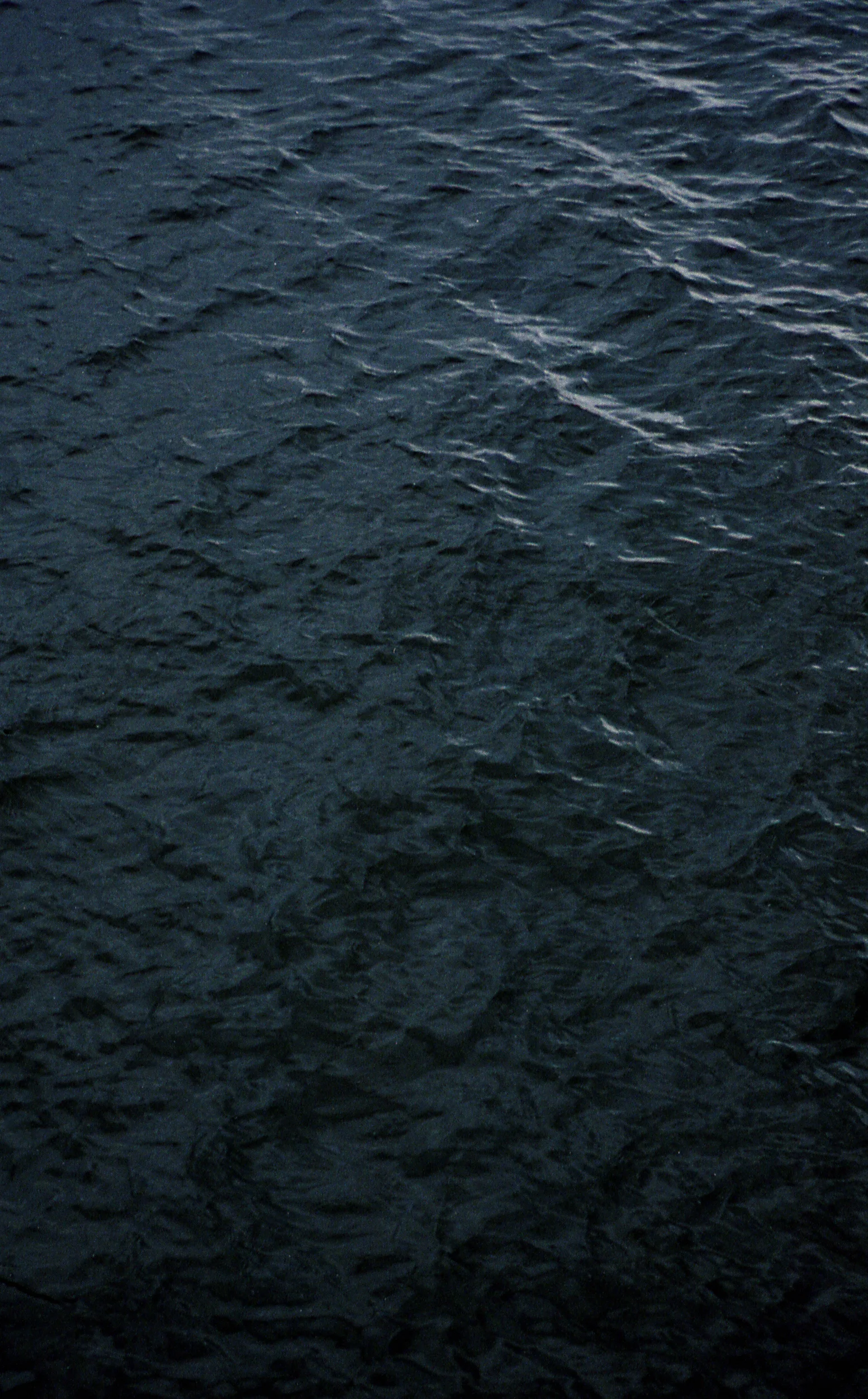 SHOTBYTHOM-085.jpg