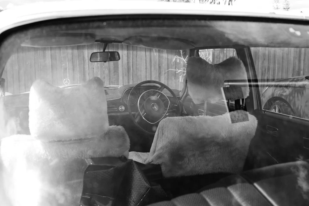 SHOTBYTHOM_CAR.jpg