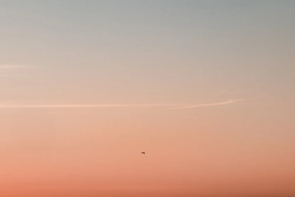 SHOTBYTHOM-1013065.jpg