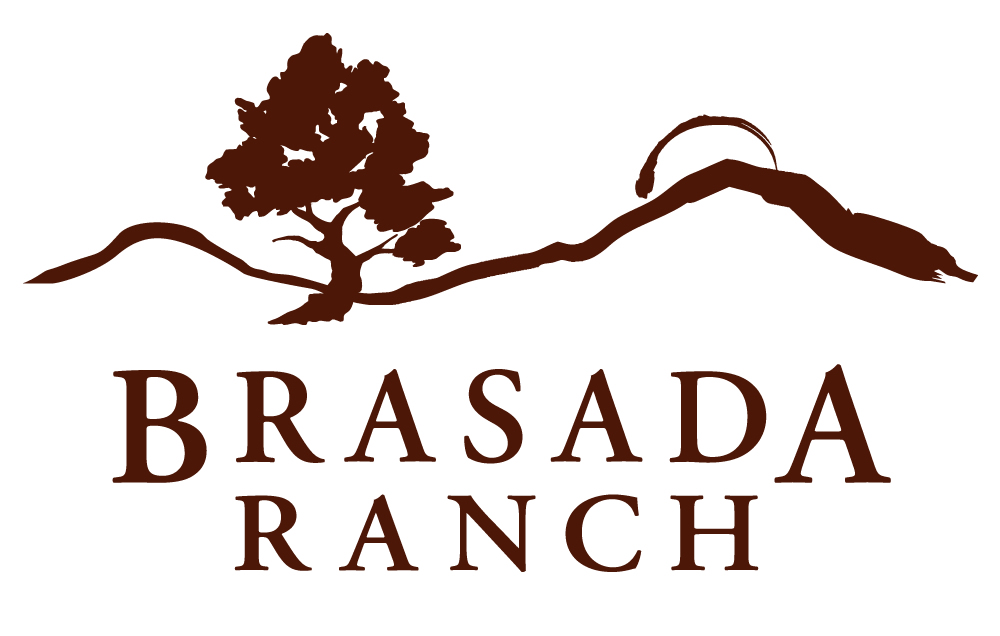 FINAL_Brasada_Logo.jpg