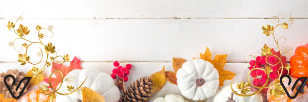 website banner (10).png
