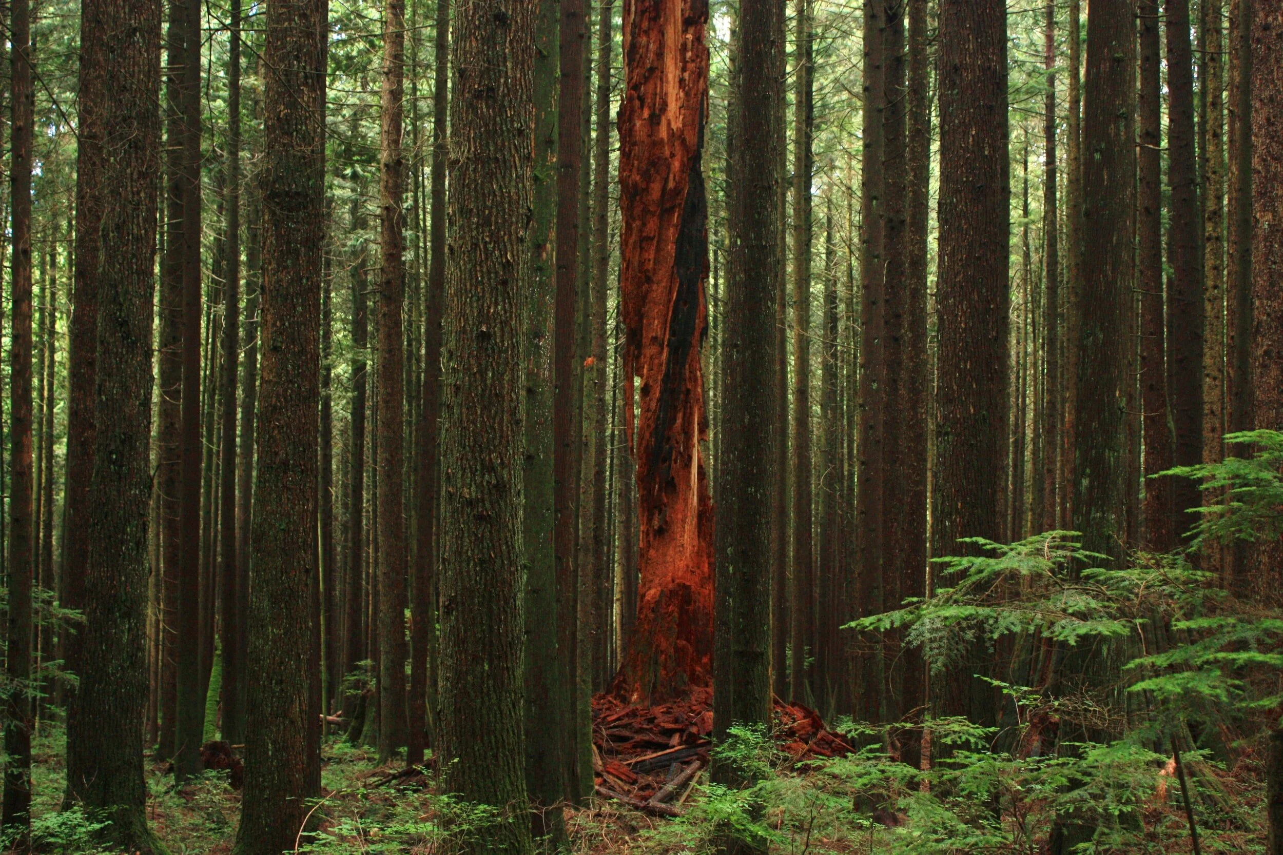 unsplash-image-0E2kjYZrw5U.jpg