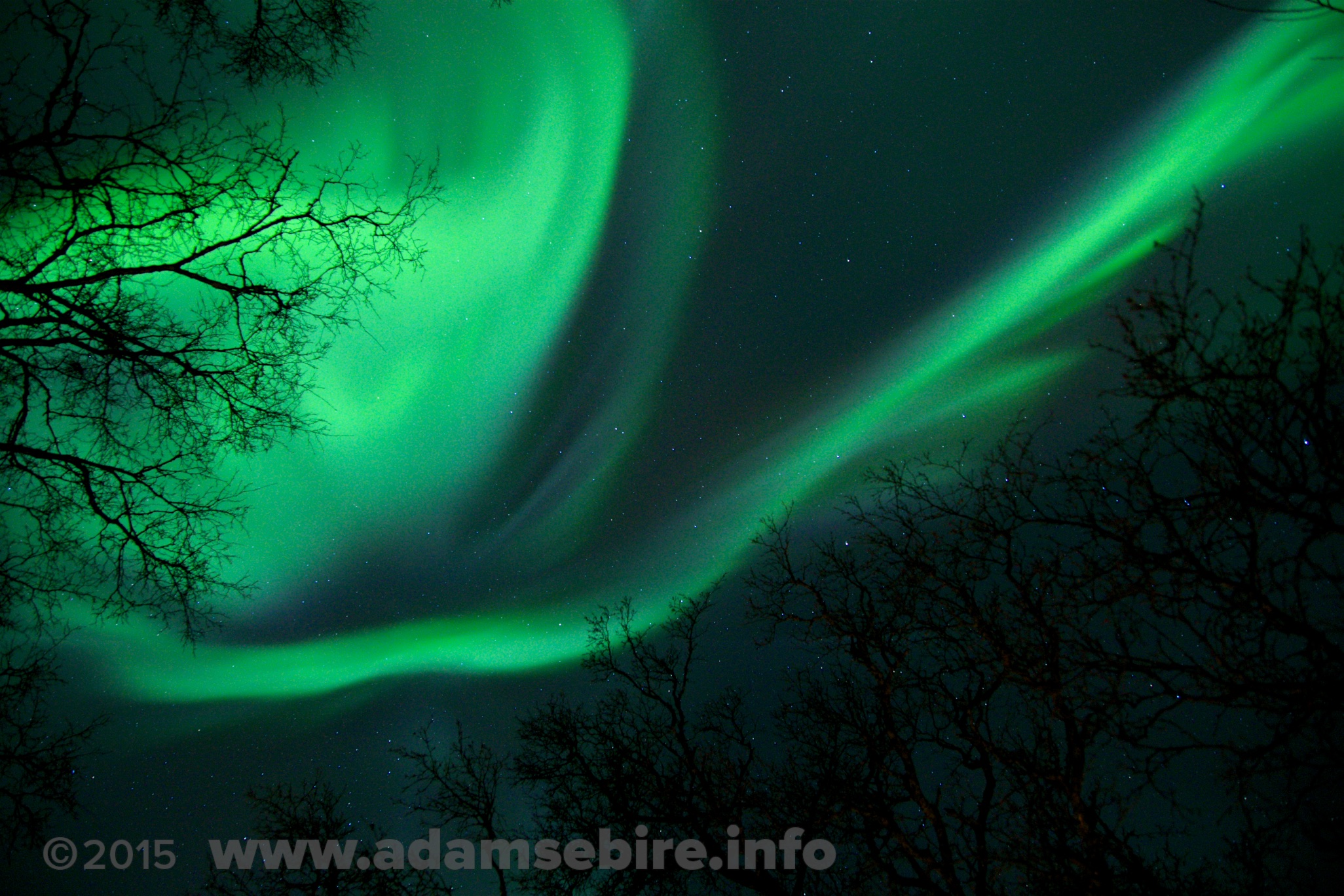 Aurora borealis from the Arctic - Adam Sébire - IMG_4344.jpg